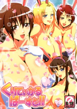 [MEAN MACHINE (Mifune Seijirou)] Critical Burst!! (Dead or Alive) [English] [Digital]
