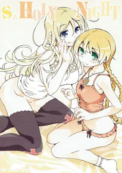 (COMIC1☆11) [OPEN BOOK (Toumi Haruka)] S & HOLY NIGHT (Sword World 2.0)