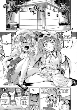 (Reitaisai 9) [Yumemigokoti, Youmusya (Mikage Baku, Gengorou)] Koushuu Benjo (Touhou Project) [English] [atomicpuppy]