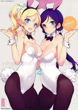(C86) [Shoujo Kishidan (Oyari Ashito)] What is this thing called love? 2 (Love Live!) [English]