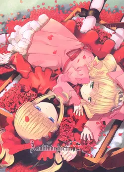 (C70) [Quarter View (Jin’nojyou, Kuroboshi Kouhaku)] A solitude nocturne (Rozen Maiden)